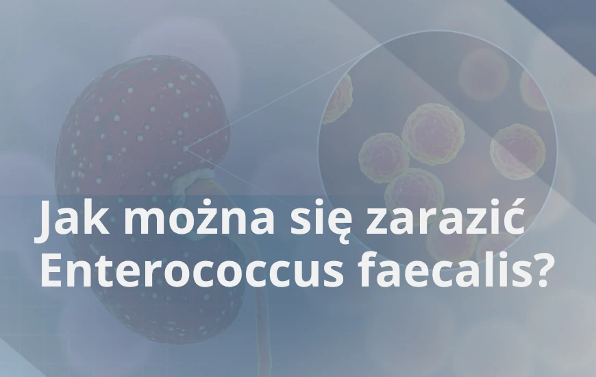 Jak_mozna_sie_zarazic_Enterococcus_faecalis_d24
