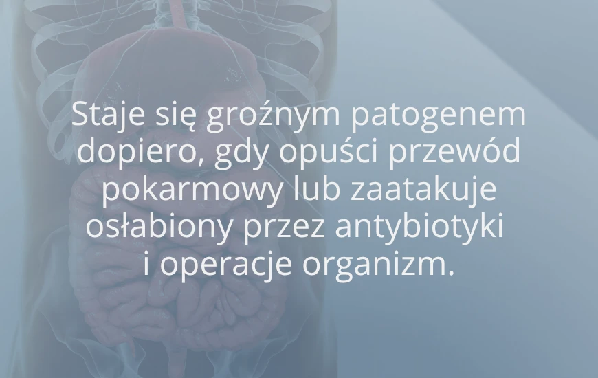 Staje_sie_groznym_patogenem_d24