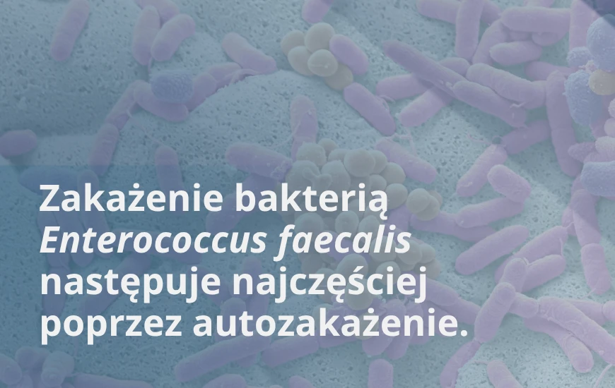 Zakazenie_bakteria_d24