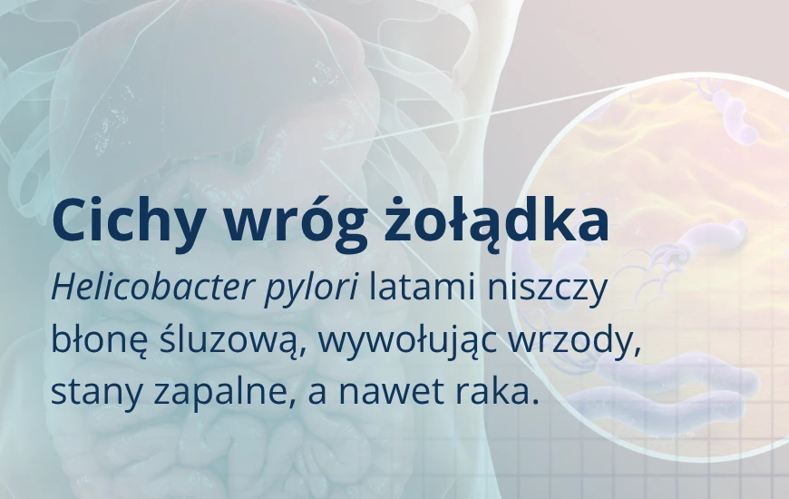 Cichy_wrog_zoladka_d24