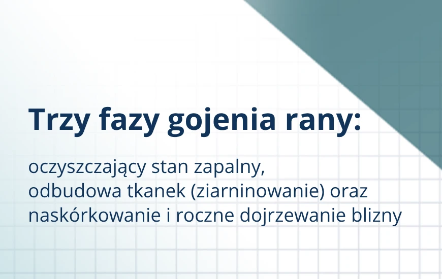 Trzy_fazy_gojenia_rany_d24