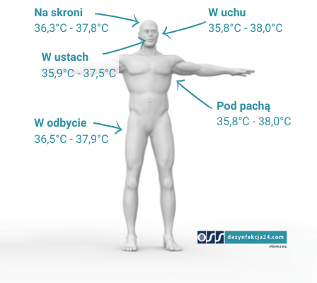 Pomiar temperatury caiła