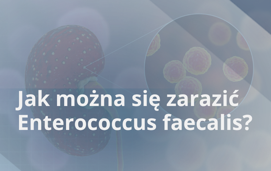 Jak można się zarazić Enterococcus faecalis?