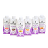 Nutrego FORTE mix sześciu smaków: 6 x 330 ml 