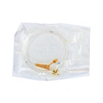 Zgłębnik żołądkowy CH 16 dł. 800 mm - Galmed